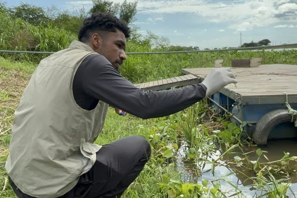 Foto colorida de cientista brasileiro colhendo vírus no pantanal - Metrópoles