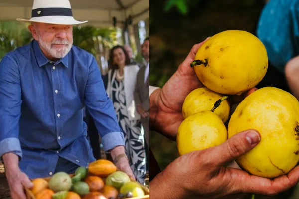 Lula cita maracujá e jabuticaba para “acalmar” Trump; veja benefícios