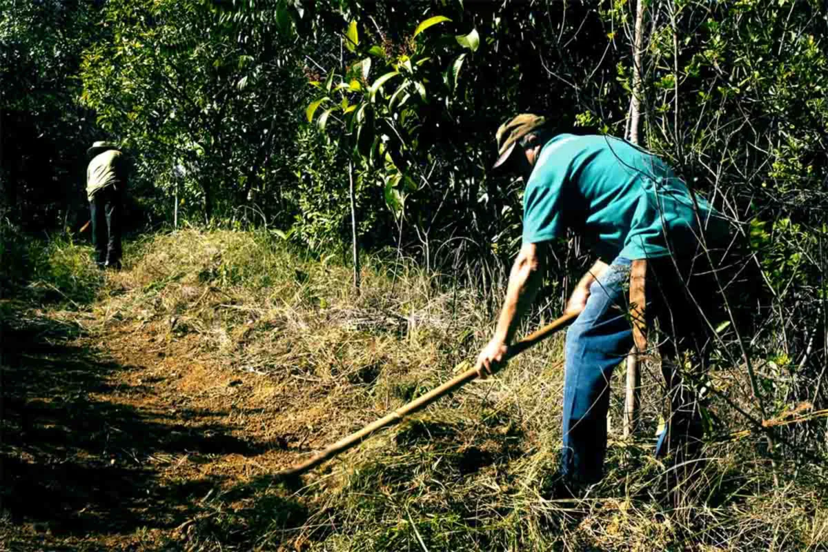 Com apoio da comunidade, projeto mantém região há 25 anos sem queimadas e reforça proteção da nascente do Córrego dos Pintos Com apoio da comunidade, projeto mantém região há 25 anos sem queimadas e reforça proteção da nascente do Córrego dos Pintos