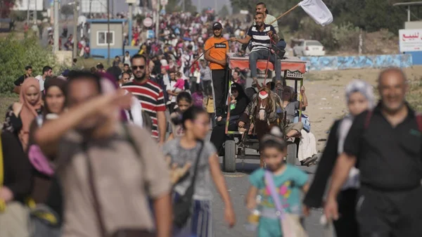 Catar negocia cessar-fogo na Faixa de Gaza em troca da libertação de reféns do Hamas