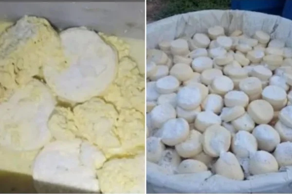 Fezes de rato e larvas: Polícia apreende mais de 11 toneladas de queijo em MG - Metrópoles