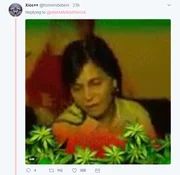Ana Maria posta foto com erva e fãs acham que é maconha - imagem 4