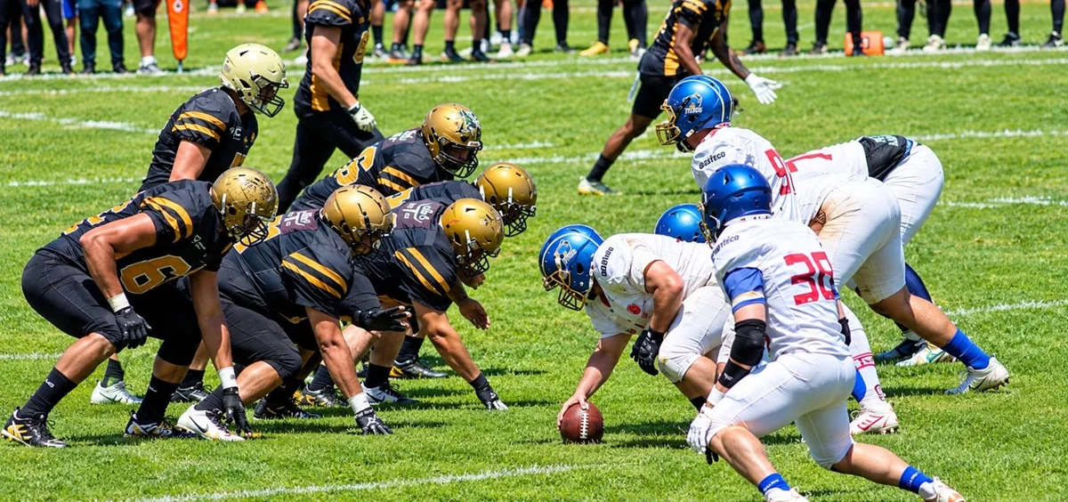 Superliga D2 de Futebol Americano define finalistas neste fim de semana - imagem 1 Superliga D2 de Futebol Americano define finalistas neste fim de semana - imagem 1