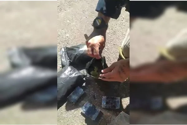 Passageira de ônibus interestadual é presa com 500g de “supermaconha”