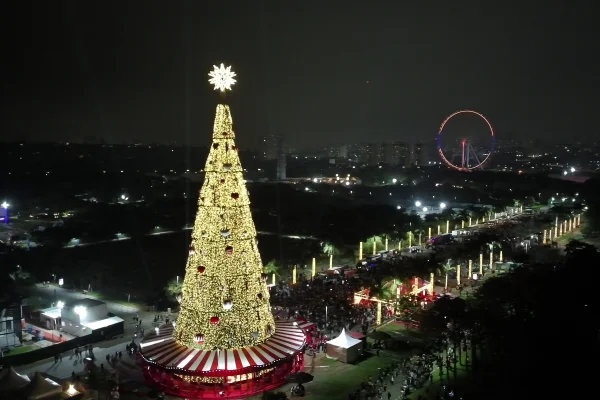 Imagem mostra árvore de Natal - Metrópoles