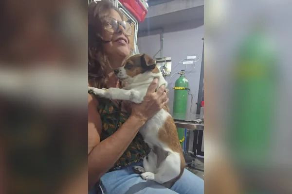 Tutora reencontrando seu cachorro em BH