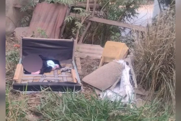 Recém-nascido é abandonado dentro de sofá em lote vago de MG