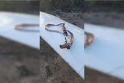 Além da aeronave, também foi apreendido um veículo utilizado como ponto de apoio para transporte da droga