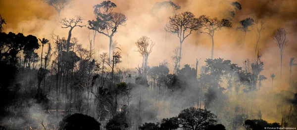 Incêndio Florestal