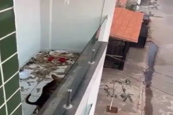 Criança de 6 anos em situação de abandono é resgatada por PMs no DF