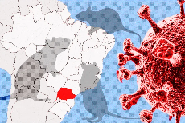 Paraná confirma casos de hantavírus