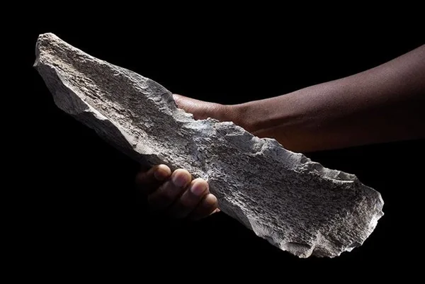 Imagem de ferramenta de osso fabricada pelos hominídeos - Metrópoles