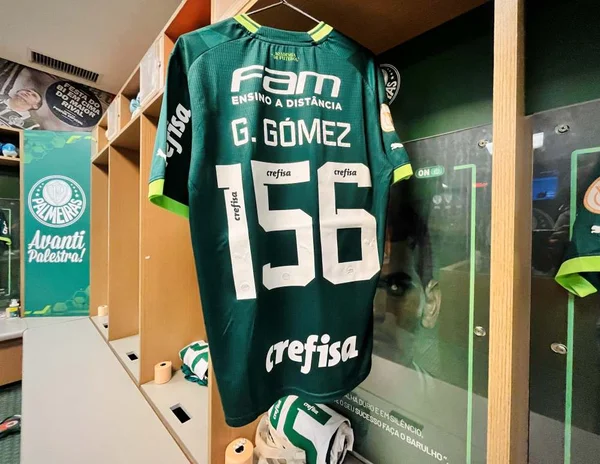 Jogadores do Palmeiras alertam sobre inverno em SP em partida do Brasileirão