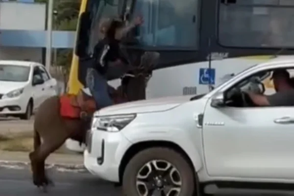 Imagem colorida de briga entre peão e motorista de ônibus em Bela Vista de Goiás