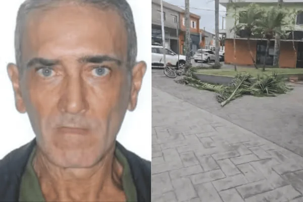 Colagem colorida de homem em situação de rua morto após ser atingido por uma árvore durante ventania em Santos - Metrópoles