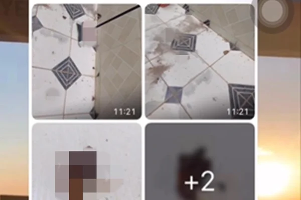 mensagens com fotos borradas de cocô