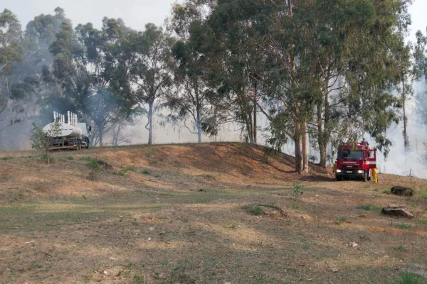 Segundo a Defesa Civil, 10 hectares entre área preservada e pastagem foram atingidas por incêndio em Espírito Santo do Pinhal - Metrópoles