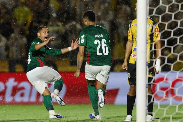 Palmeiras vence Novorizontino fora de casa e é campeão do Paulistão