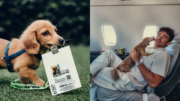 Fotos colorida de cachorro de Charles Leclerc
