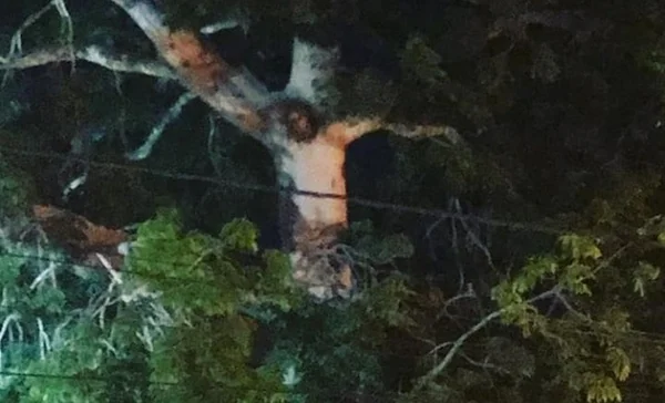 Fiéis veem “Jesus” em árvore e ignoram quarentena para oração