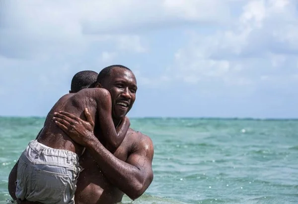 Oscar 2017: confira os vencedores da premiação
