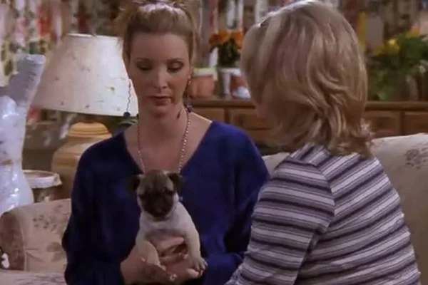 Phoebe e pet