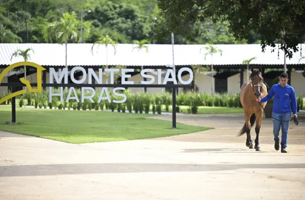 Fotografia colorida mostrando homem levando cavalo em frente ao Monte Sião-Metrópoles
