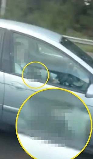 O casal parece não ter se importado de ser pego na câmera O casal parece não ter se importado de ser pego na câmera