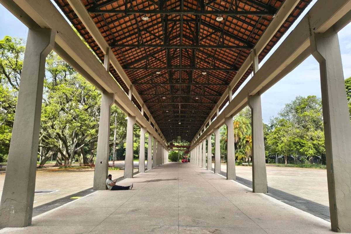 MPSP nega pedido da prefeitura de parar investigação sobre Ibirapuera
