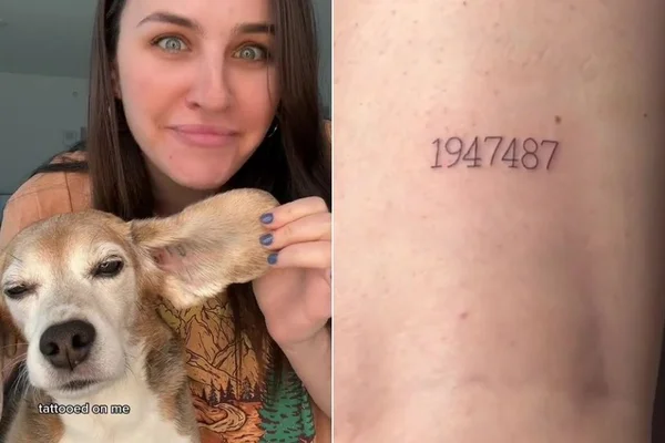 Cachorro - tatuagem - tiktok