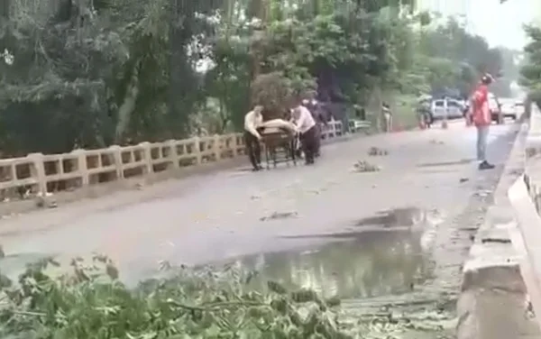 goias caixao carregado em ponte interditada