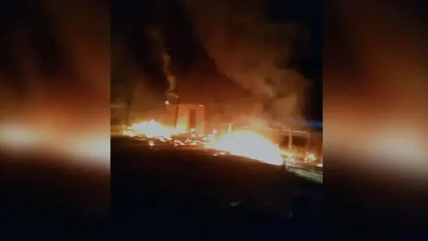 Vídeo: cachorro se esconde em caixa d’água durante incêndio em SC