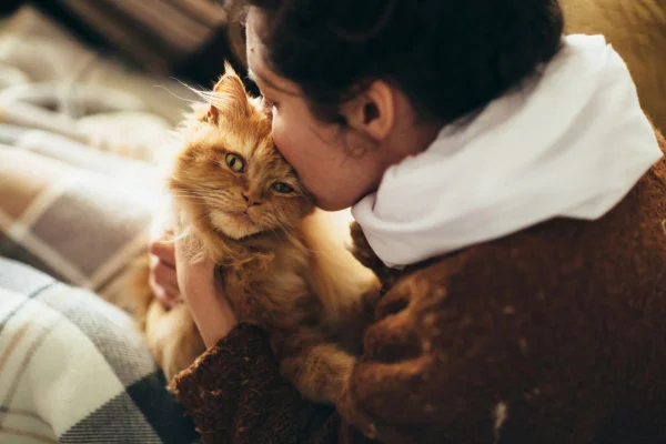 mulher beijando e abraçando um gato caramelo