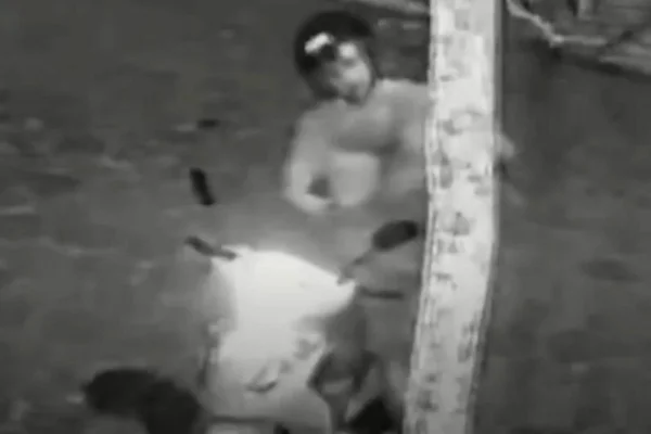 Imagem colorida mostra momento em que GCM atira contra cabeça de cadela. Metrópoles