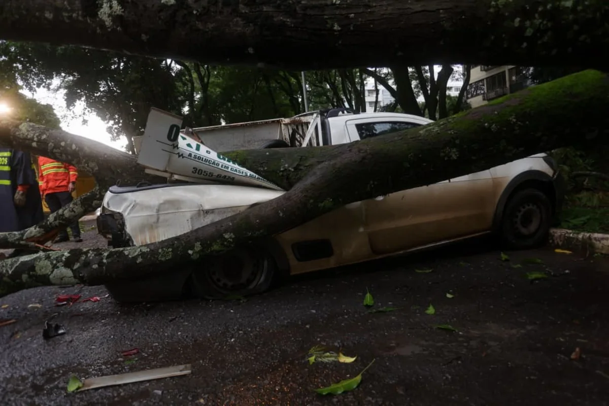 O Metrópoles esteve no local e conversou com o motorista. Ele relatou que após fazer uma entrega na região, estacionou no local para esperar a chuva cessar O Metrópoles esteve no local e conversou com o motorista. Ele relatou que após fazer uma entrega na região, estacionou no local para esperar a chuva cessar