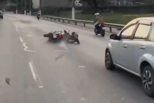 Imagens coloridas mostram motociclista caída no asfalto de avenida