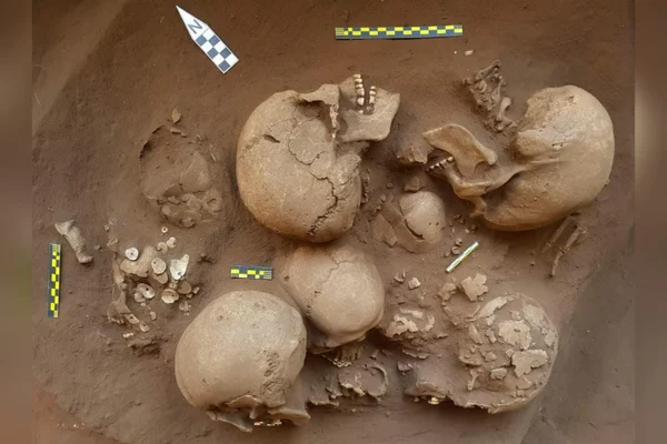 Crânios humanos encontrados em sítio arqueológico de GOiás