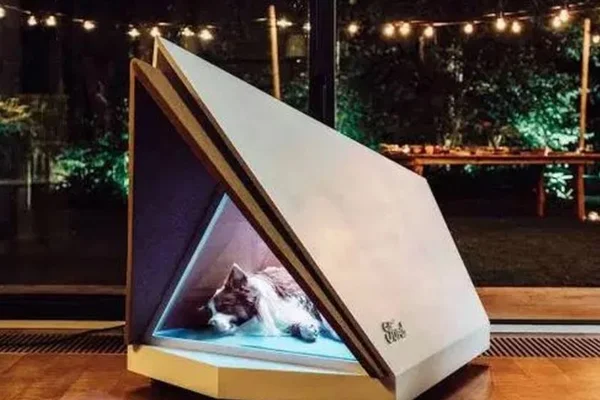 Empresa cria casinha para cães à prova de ruídos e fogos de artifício