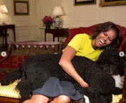 Michelle Obama com os cães Bo e Sunny Michelle Obama com os cães Bo e Sunny