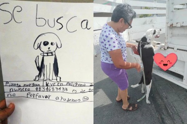 Foto colorida de um desenho e uma mulher - Metrópoles