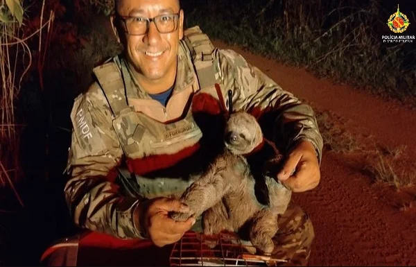 Imagem colorida de um policial com um bicho-preguiça no colo - Metrópoles
