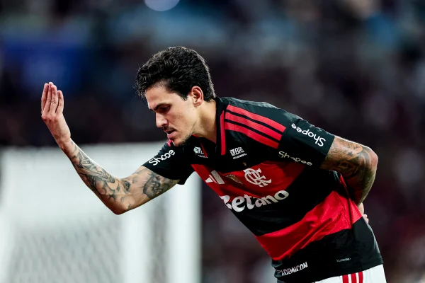 Pedro comemorando gol do Flamengo sobre o Santos