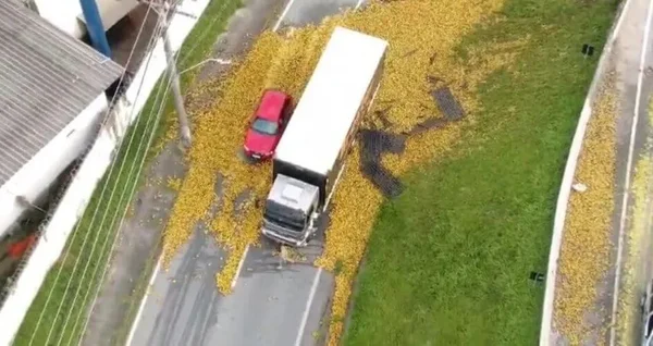 Imagem colorida de laranjas espalhadas pela pista - Metrópoles