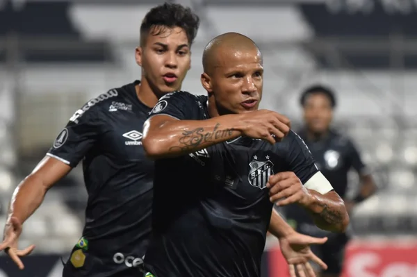Santos se classifica na Libertadores