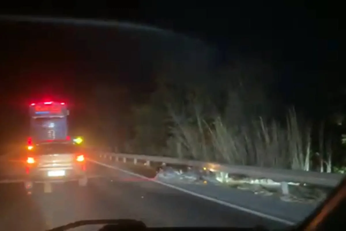 Motociclista morre em colisão com cavalo na BR-020 em Posse, Goiás