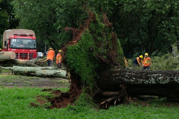 Inmet alerta para temporais e ventos de até 100 km/h no DF