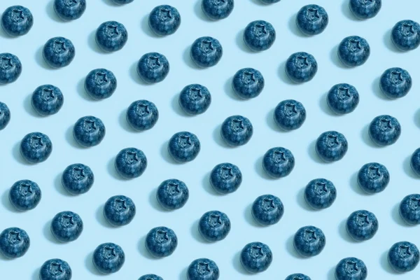 mirtilos em fundo azul