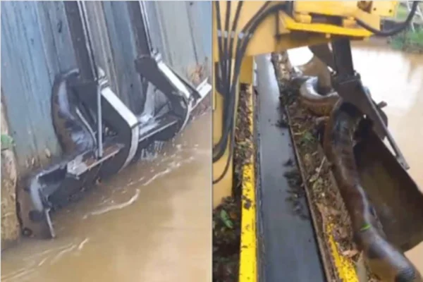 Imagem colorida de sucuri presa em máquina - Metrópoles