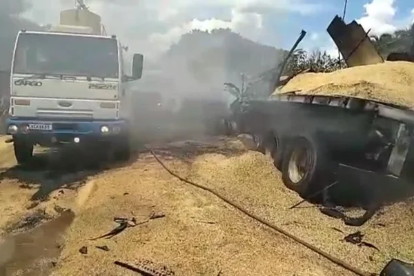 carretas batem de frente ponte rodovia br goias (3)