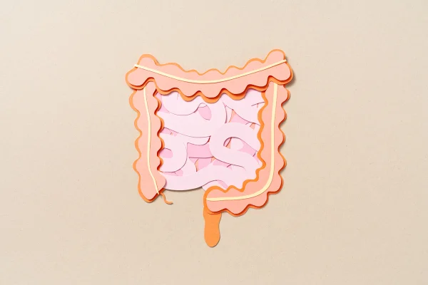 Recorte de papel representando a anatomia do intestino humano sobre fundo bege - Rastreio amplia diagnóstico precoce de câncer colorretal, diz estudo - Metrópoles